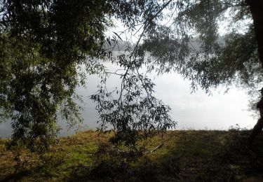 Tocht Stappen Sotteville-sous-le-Val - 20211012-Sotteville Sous Le Val  Cool - Photo