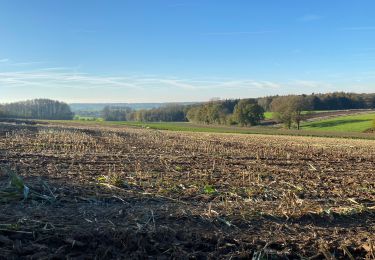 Randonnée Marche Gerpinnes - Étang du ban à l’automne  - Photo