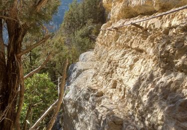 Randonnée Marche La Palud-sur-Verdon - Verdon - Sentier du Bastidon A/R (partiel) - Photo