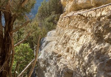 Tocht Stappen La Palud-sur-Verdon - Verdon - Sentier du Bastidon A/R (partiel) - Photo