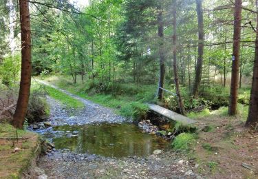 Tocht Te voet Neusorg - Neusorg Rundweg 3 - Photo