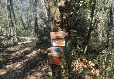 Trail Walking Flayosc - berne reconnaissance  - Photo