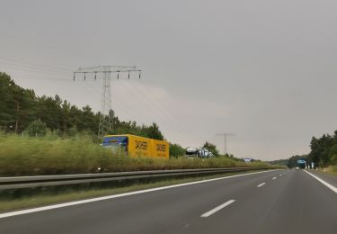 Tour Zu Fuß Teupitz - Rundwanderweg Nikolassee - Photo