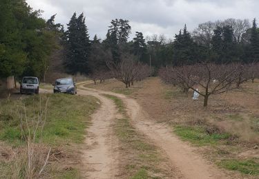 Trail Walking Loupian - ballade cambellies  - Photo