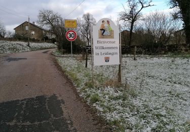 Tocht Stappen Heining-lès-Bouzonville - leiding - Photo