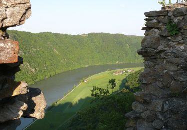 Tour Zu Fuß Niederkappel - Donauschlingenweg - Photo