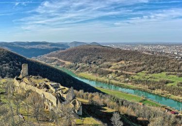 Tocht Te voet Montfaucon - Sentier du Fort et des Batteries - Photo