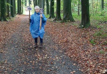 Trail Walking Lobbes - Buvrinnes delechade 25 20 24 - Photo