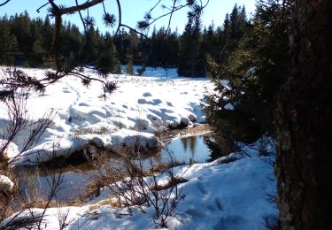 Percorso Marcia Bréau-Mars - lac des Pises - Photo