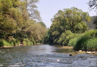 Excursión A pie Horb am Neckar - Äußerer Alternativweg - Horb am Neckar - Weg-3 - Mühringen - Isenburg - Photo