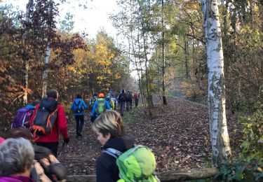 Randonnée Marche Montaigu-Zichem - Averbode 24 km - Photo