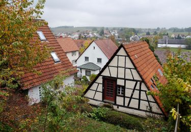 Trail On foot Aichtal - Aich - Harthausen - Photo