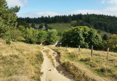 Trail Mountain bike Orbey - Orbey - Labaroche - Col du Wettstein - Photo