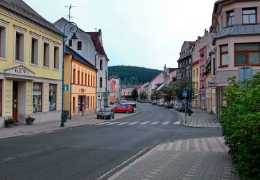 Tour Zu Fuß Neudek - [Ž] Karlovy Vary - Nejdek - Photo