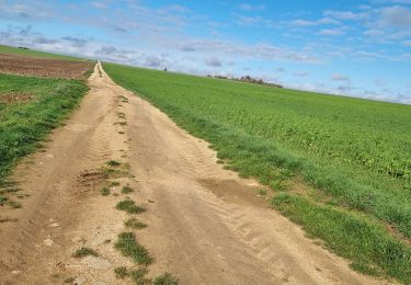 Randonnée Marche Vouthon-Haut - balade reco - Photo