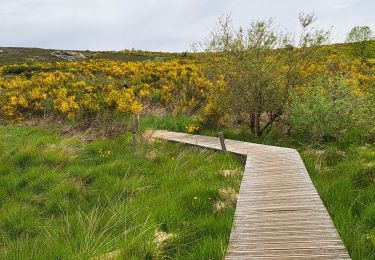 Tour Wandern Rosis - Sommet du Caroux - Photo