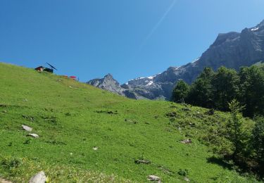 Trail Walking Sixt-Fer-à-Cheval - SIXT PASSY: PAS DU BORET - BOUT DU MONDE - Photo