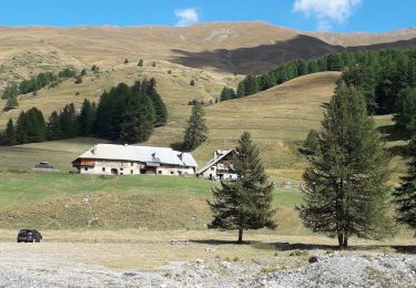 Trail Walking Cervières - Le Lac des cordes  - Photo
