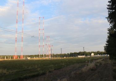 Tour Zu Fuß Lampertheim - Rundwanderweg Lampertheim Wildbahn 5: Hausenstein-Weg - Photo