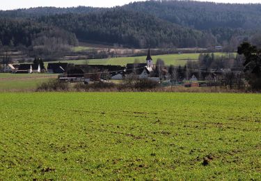 Trail On foot Neukirchen bei Sulzbach-Rosenberg - Neukirchener Juralandschaftsrundweg - Photo