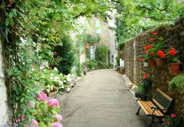 Randonnée Vélo électrique Sauveterre-de-Guyenne - Sauveterre - Castelmoron - Monsegur - Photo