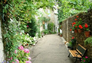 Percorso Bicicletta elettrica Sauveterre-de-Guyenne - Sauveterre - Castelmoron - Monsegur - Photo