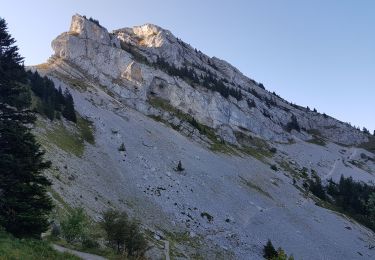 Trail Walking Lans-en-Vercors - Le Roc Cornafion par le col de l Arc et le col Vert. - Photo