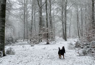 Trail Walking Libramont-Chevigny - Granvoir (Libramont) - Photo