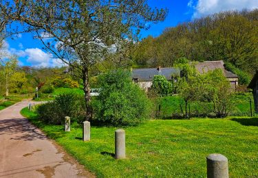 Randonnée Marche Thuin - Balade dans le Bois du Grand Bon Dieu-Thuin - Photo