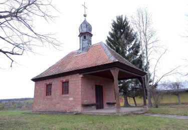 Excursión A pie Hausen - Ortswanderweg Hausen 1 - Photo