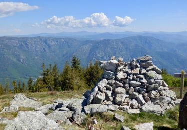 Trail On foot Mayres - Tour des Poignets 18km - Photo