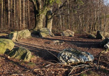 Excursión A pie Gemeinde Krumbach - Schloß Krumbach - Hosien Rundwanderweg - Photo