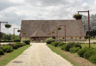 Tour Zu Fuß Motteville - Au Détours des Châteaux de Saint-Martin-aux-Arbres - Photo