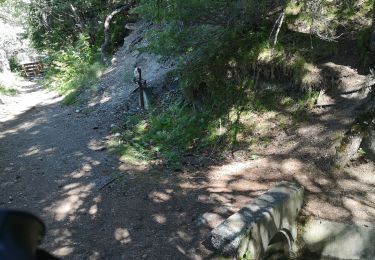Trail Nordic walking Ayent - les 2 bisses  - Photo