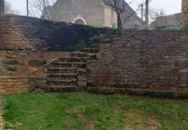 Tour Wandern Lavernay - Lavernay  - Photo