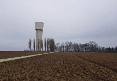 Trail Walking Liège - Rocourt > Ans - Photo