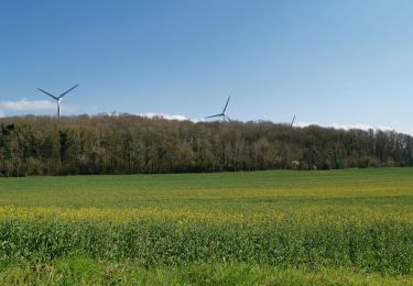 Trail Walking Petit-Caux - greny petit caux - Photo
