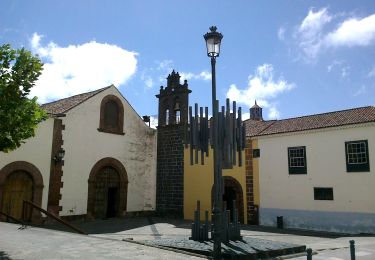 Tour Zu Fuß San Cristóbal de La Laguna - Camino de Candelaria de La Laguna - Photo