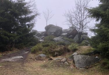 Trail On foot Wernigerode - HK 9: Clausthal - Sonnenberg - Brocken - Ilsenburg - Photo