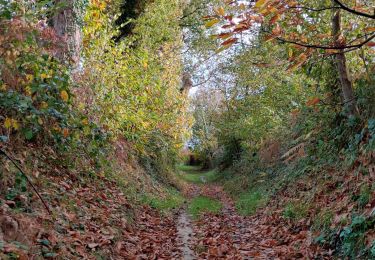 Trail Walking Romillé - Romillé 29-10-20 - Photo
