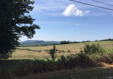 Randonnée Marche Eymoutiers - Eymoutiers à Lacelle  - Photo