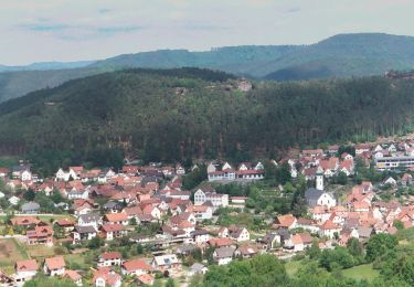 Randonnée A pied Bruchweiler-Bärenbach - Bären-Steig - Photo