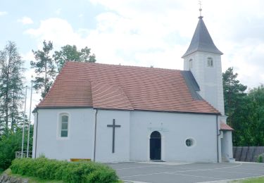 Percorso A piedi Rohrbach an der Lafnitz - Wanderweg 10 - Photo