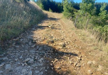 Percorso Mountainbike Mont Lozère et Goulet - Fait GTMC 2022 E3  3b - Photo