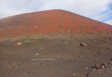 Tour Wandern Tinajo - Montaña Colorada 18.10.24 - Photo