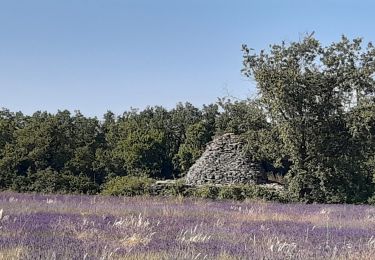 Randonnée Marche Buoux - Plateau des Claparèdes - Photo