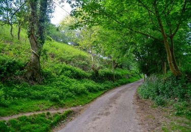 Tocht Te voet North Devon - Butterfly Walk - Photo