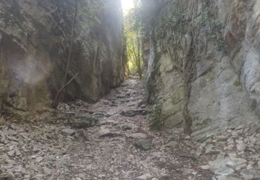 Randonnée Marche Seyssinet-Pariset - tour st venin - Photo