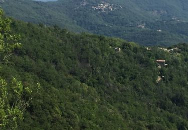 Tocht Stappen Saint-Laurent-le-Minier - La grotte d’Anjeau  - Photo