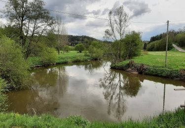 Tour Zu Fuß Gaildorf - Schwäbischer Albverein Gaildorf - Blauer Punkt - Photo